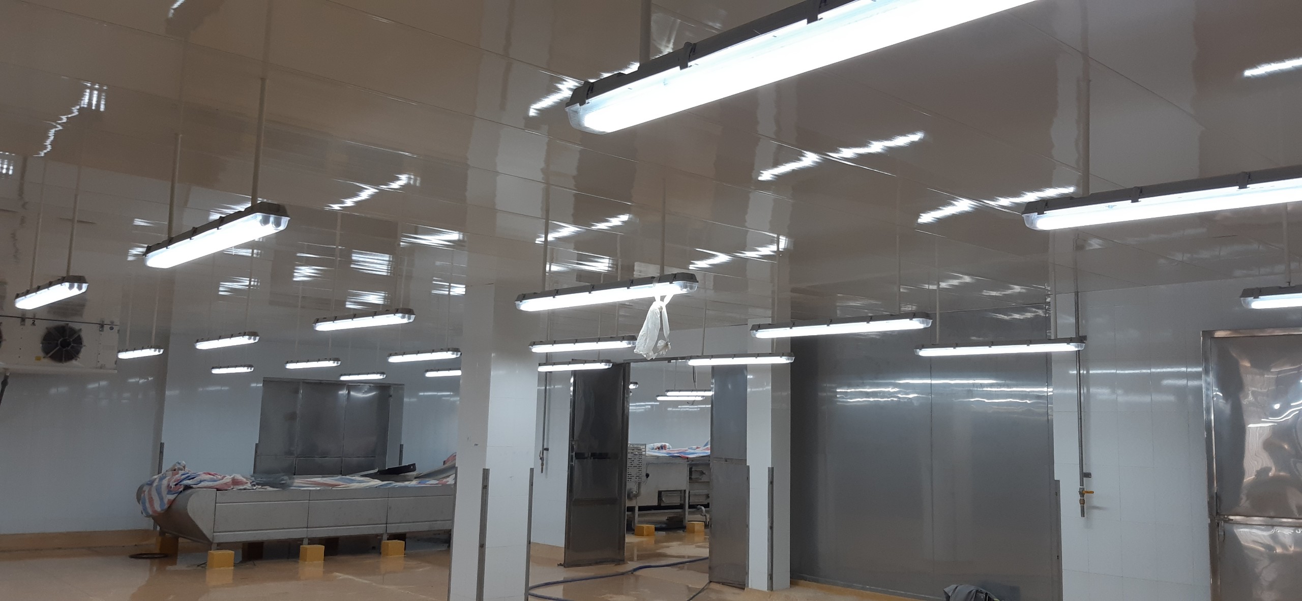 nhà máy thủy sản camimex , phường 8, tp cà mau